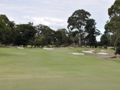 Out On the Course