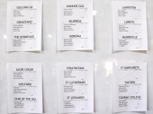 Team Results