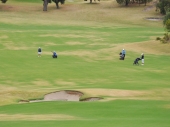 B_Out-On-The-Fairways-3